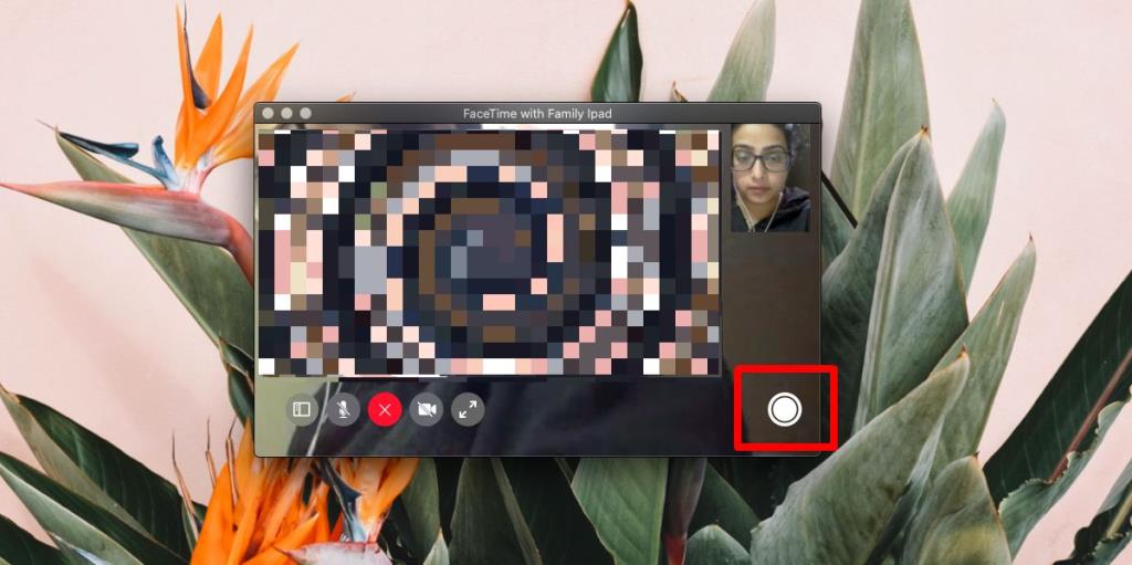 So nehmen Sie Live-Fotos in FaceTime unter macOS auf