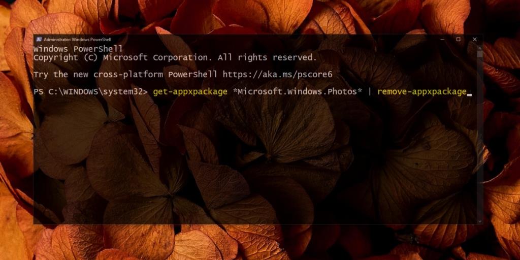 Penggunaan Memori Tinggi Microsoft Photos.exe (ASK) pada Windows 10