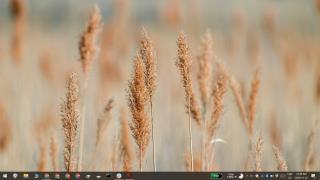 Windows 10 桌面圖標丟失：以下是修復桌面圖標不顯示的方法