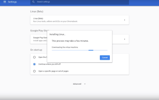 Cách chơi trò chơi Steam trên Chrome OS với Hỗ trợ Linux