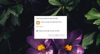 “คุณต้องการเปิดไฟล์นี้อย่างไร” บน Windows 10 – วิธีเปลี่ยนแอพ
