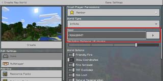 Cara Menanam Dunia Di Minecraft Bedrock Edition Di Windows 10