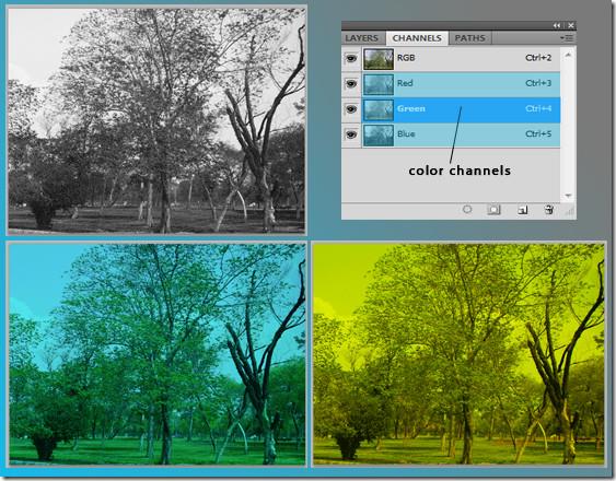 คู่มือการใช้ช่องใน Photoshop