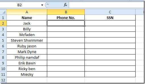 Excel 2010: Adicionar números de telefone e de previdência social padrão (SSNs) Excel 2010: Adicionar números de telefone e de previdência social padrão (SSNs)