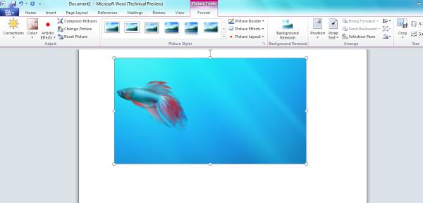 螢幕剪輯 - 使用 Microsoft Office 2010 截圖