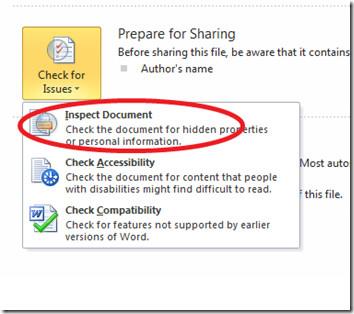 Microsoft Office 2010 文件檢查器