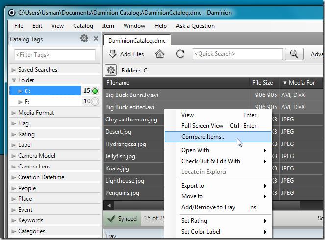 Daminion: Leistungsstarke Multi-User-Medienverwaltungssoftware für kleine Teams Daminion: Leistungsstarke Multi-User-Medienverwaltungssoftware für kleine Teams