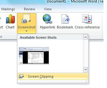 Bildschirmausschnitt – Screenshot mit Microsoft Office 2010 aufnehmen