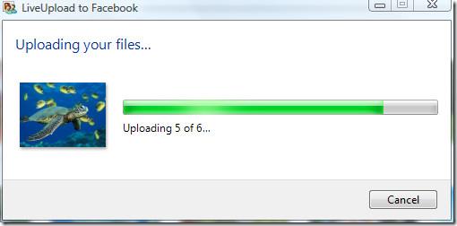 透過 Windows Live Gallery 直接將圖片上傳到 Facebook