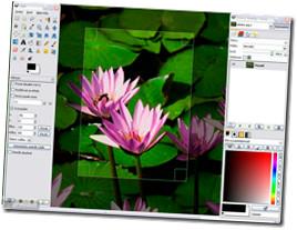 As 5 principais ferramentas gratuitas de edição de fotos para Windows