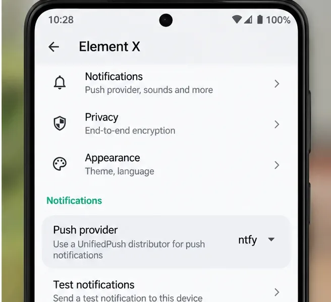 Element X 설정에서 푸시 알림 제공업체로 ntfy가 선택되어 있고 테스트 알림 옵션이 표시됩니다.