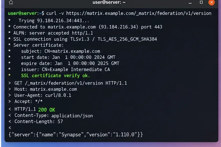 TLS証明書の検証が成功した後、MatrixフェデレーションバージョンのエンドポイントへのHTTPSリクエストが成功したことを示すターミナル画面