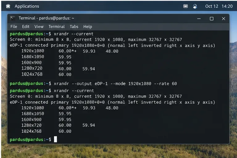 Fix Screen Tearing on Intel Graphics in Pardus Linux: A Result-Focused Guide
