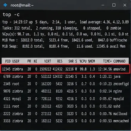 La terminal muestra que amavisd consume casi el 100 por ciento de la CPU, mientras que otros procesos de Zimbra utilizan mucha menos CPU.