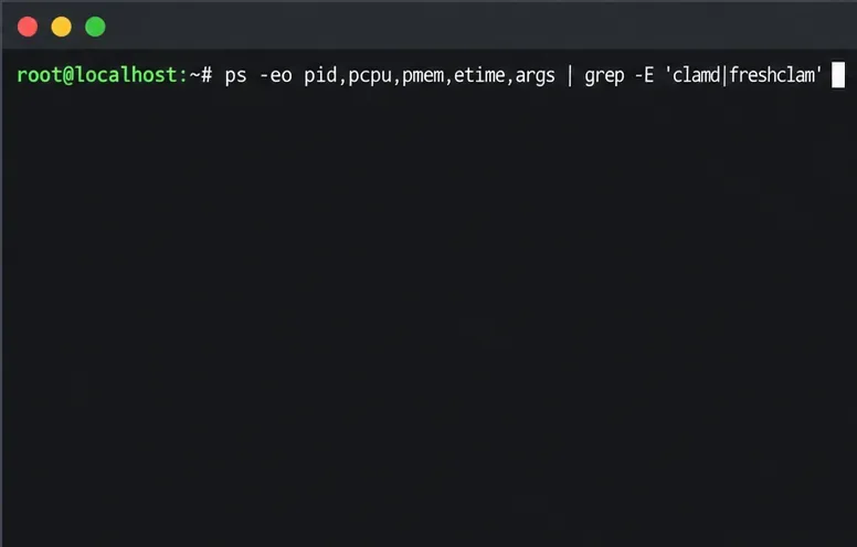 clamdとfreshclamでフィルタリングされたprocess-listコマンドを表示するLinuxターミナルプロンプト。