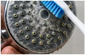 Met een zachte blauw-witte tandenborstel worden kalkaanslag voorzichtig van de chromen douchekop verwijderd.