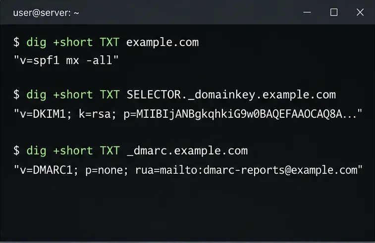 يستخدم الطرفية الأمر dig للاستعلام عن سجلات SPF وDKIM وDMARC TXT لموقع example.com