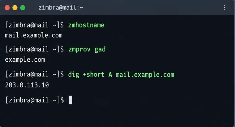 نافذة طرفية تعرض اسم المضيف zmhostname، و zmprov gad، وبحث سجل DNS A لـ mail.example.com قبل تهيئة مصادقة البريد الإلكتروني في Zimbra