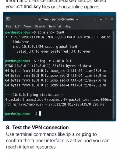 Terminal Pardus que muestra una interfaz de túnel y comandos de prueba de conectividad después de que se activa una conexión VPN.
