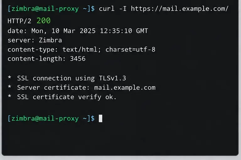 مخرجات طرفية توضيحية لطلب HTTPS تُظهر استجابة HTTP ناجحة والتحقق من الشهادة لـ mail.example.com.