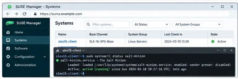 ภาพประกอบหน้าเว็บ SUSE Manager Systems แสดงไคลเอ็นต์ SLES 15 ที่อยู่ในสถานะใช้งาน พร้อมกับการตรวจสอบสถานะบริการของเทอร์มินัล