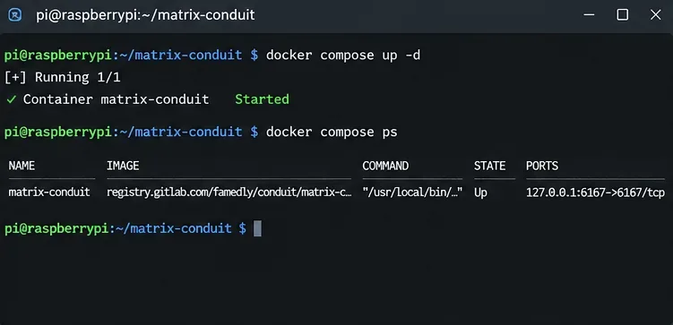 終端機顯示 `docker compose up` 和 `docker compose ps` 指令的輸出，而 Conduit 容器正在運作。