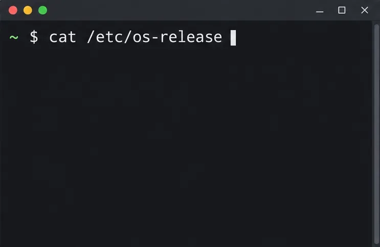คำสั่งในเทอร์มินัลที่แสดงคือ cat /etc/os-release ก่อนตรวจสอบเวอร์ชันของ SUSE