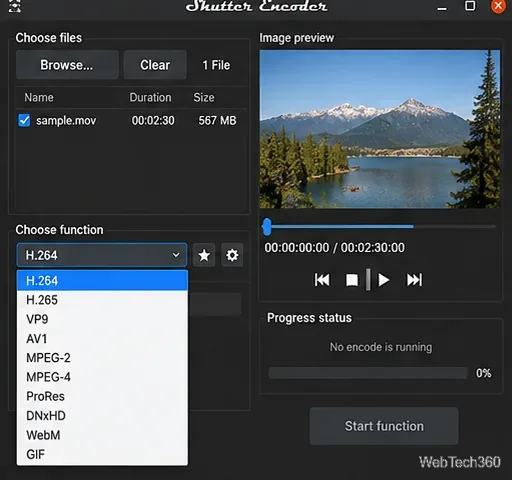 Shutter Encoder unter Linux mit geladenem Video und ausgewählter H.264-Funktion