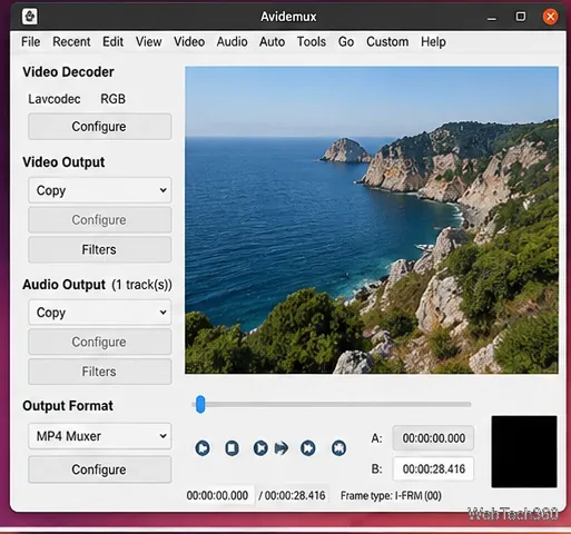 Avidemux unter Linux mit Videoausgabe und Audioausgabe auf Kopieren eingestellt und MP4-Muxer ausgewählt