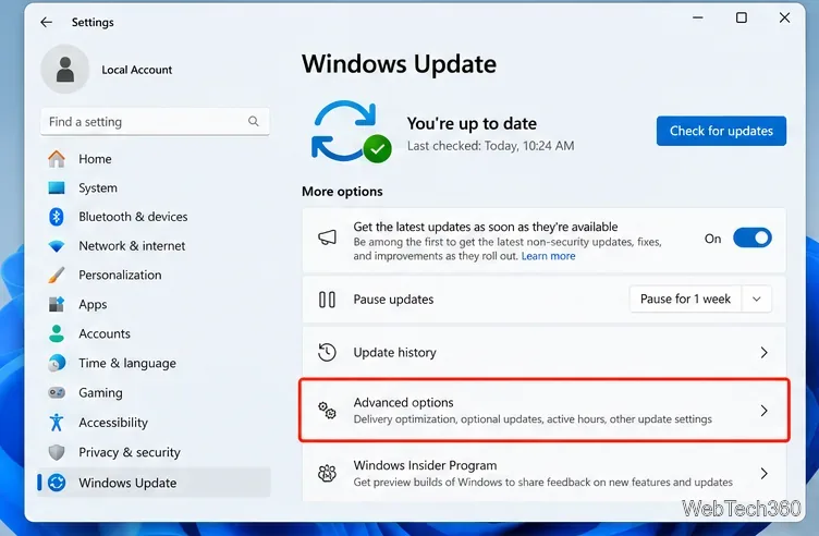 Страница Центра обновления Windows 11 с выделенными дополнительными параметрами.