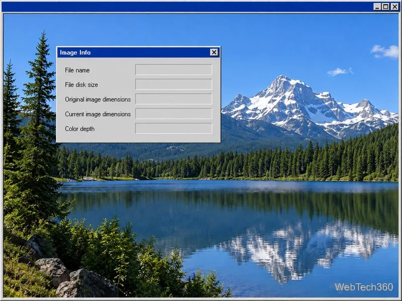 A BMP preview window displays an Image Info dialog with blank fields for file name, disk size, original and current dimensions, and color depth.