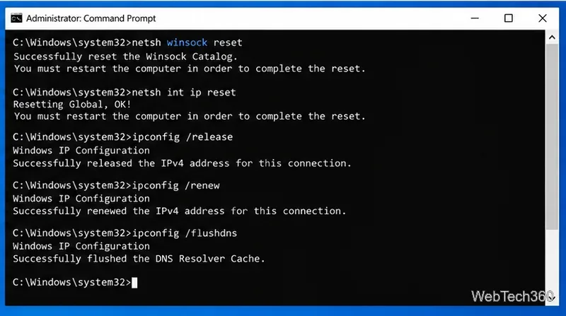 Administrator Command Prompt in Windows 10 showing Winsock reset, IP reset, IP renew, and DNS flush commands