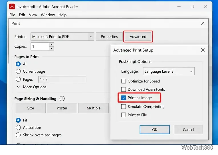 Расширенные параметры печати в Adobe Acrobat Reader с включенной опцией «Печать как изображение»