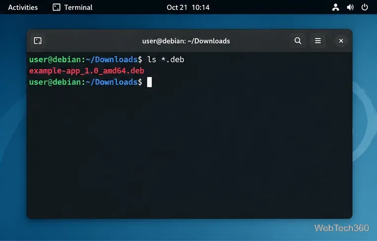 Debian Terminal listing an example deb package with the ls command