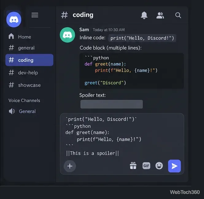Chat im Discord-Stil mit Inline-Code, mehrzeiligem Codeblock und verstecktem Spoilertext