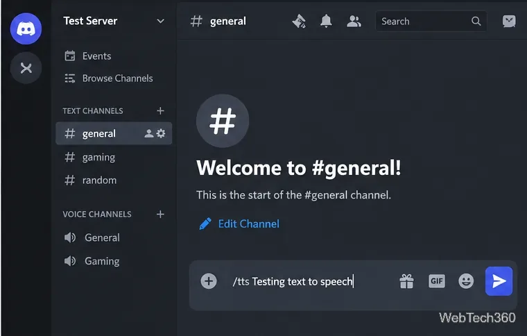 Discord text channel with slash tts followed by a test message in the message box