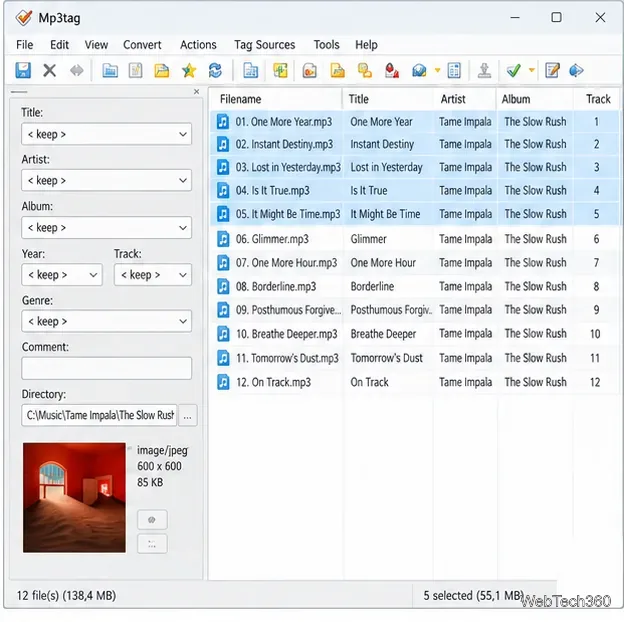 Mai multe piste audio selectate în Mp3tag cu valori păstrate în câmpuri care diferă între fișiere