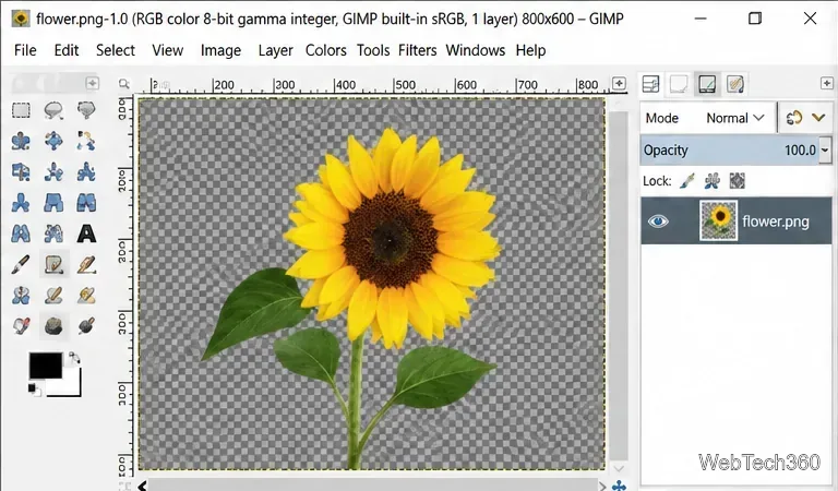 GIMP отображает изображение PNG на прозрачной сетке в виде шахматной доски.