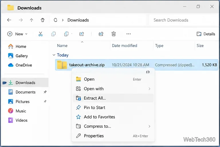 La cartella Download mostra l'archivio ZIP di Takeout e il comando Estrai tutto.