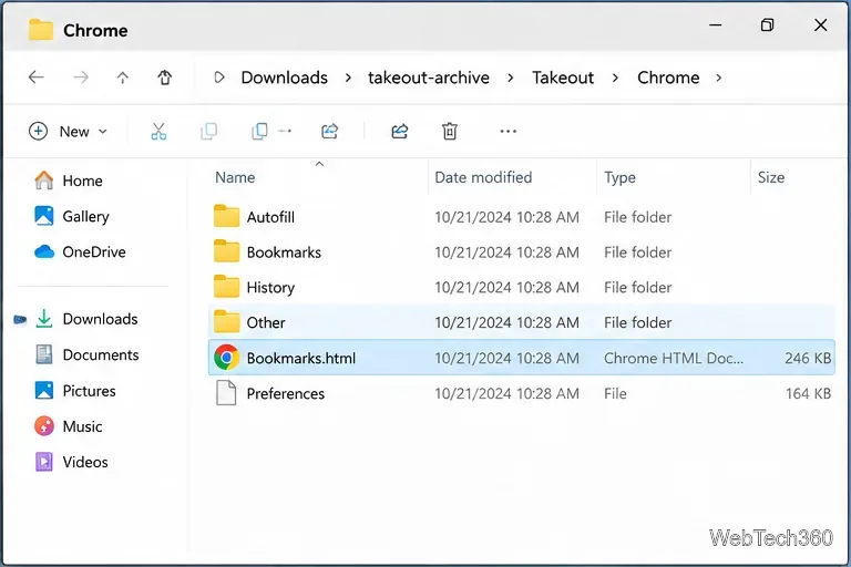 La cartella di Takeout Chrome estratta con il file Bookmarks.html selezionato.