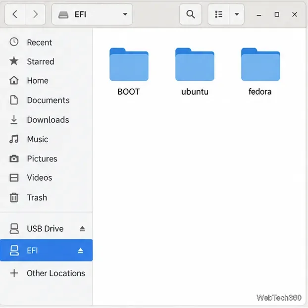 Linux file manager showing the EFI System Partition with BOOT and operating-system vendor folders