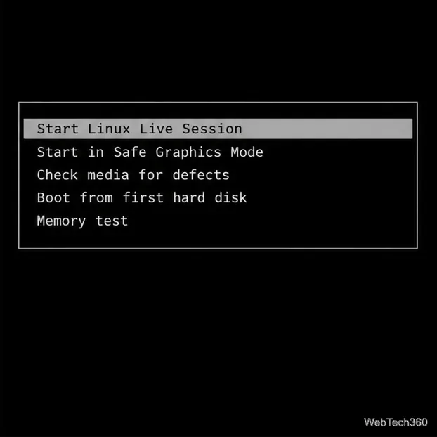 Generic Linux live USB boot menu with the live-session option selected