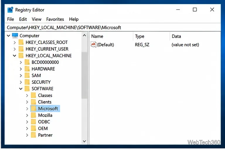 Registry Editor navigation tree expanded to the Microsoft software key