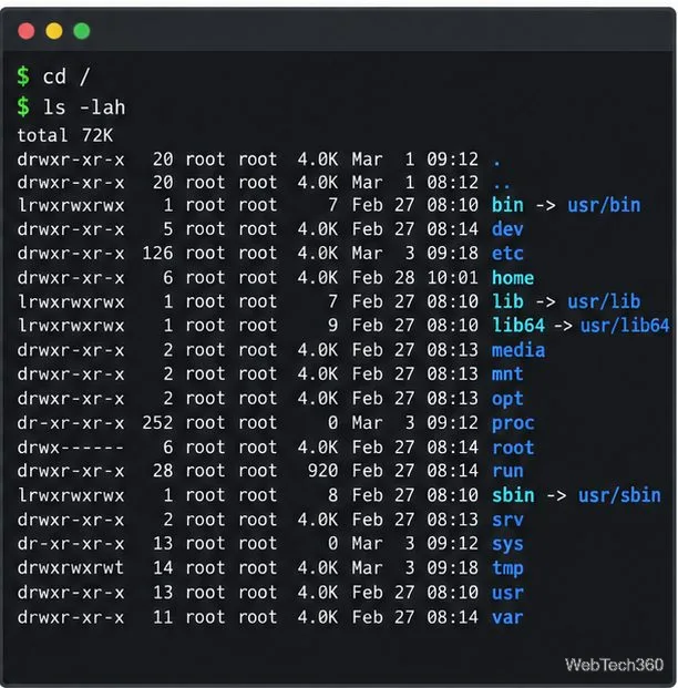 A Linux terminal showing cd / followed by a detailed listing of the root directory.