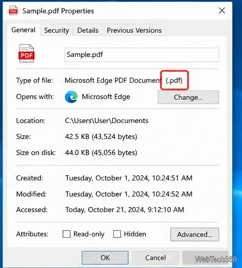 Windows 10 file Properties dialog showing a PDF file type and its current Opens with app