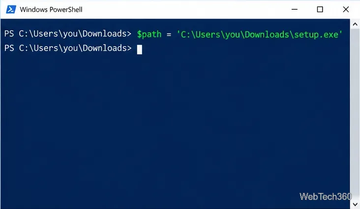 В Windows PowerShell переменная $path присвоена полному пути к файлу setup.exe.