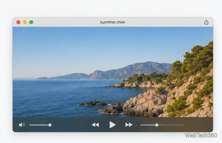 Иллюстративный пример окна QuickTime Player с открытым файлом summer.mov и видимыми элементами управления воспроизведением.