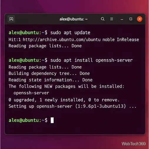 Ubuntu terminal running apt update and installing the OpenSSH server package.