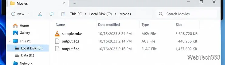 ソースサンプルMKVファイルと、個別の出力AC3ファイルおよび出力FLACファイルを表示するWindowsフォルダの例