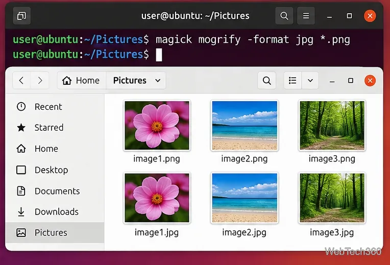 Linux terminal running magick mogrify -format jpg on multiple PNG files with matching JPG files visible in a file manager